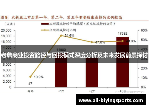 老詹商业投资路径与回报模式深度分析及未来发展前景探讨