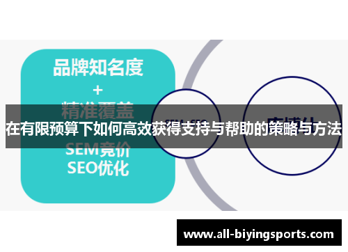 在有限预算下如何高效获得支持与帮助的策略与方法
