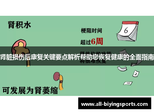 肾脏损伤后康复关键要点解析帮助您恢复健康的全面指南